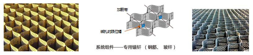 蜂巢约束系统