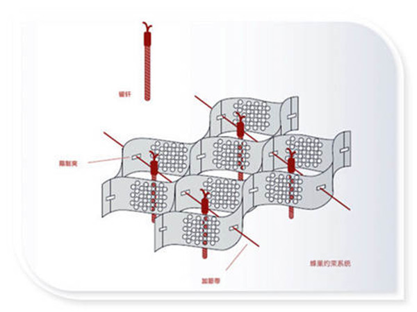 高分子蜂巢格室